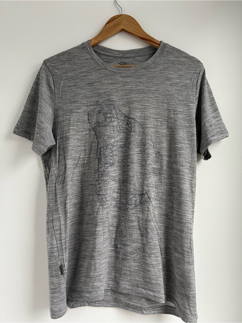 Icebreaker Merino Men's Grey Short-Sleeve Graphic T-Shirt Size Medium Wolf